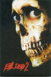 Magnets: Evil Dead 2 Skull