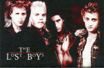 Magnets: The Lost Boys