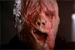 Magnets: The Burning Cropsey