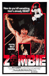 Kung Fu Zombie Poster